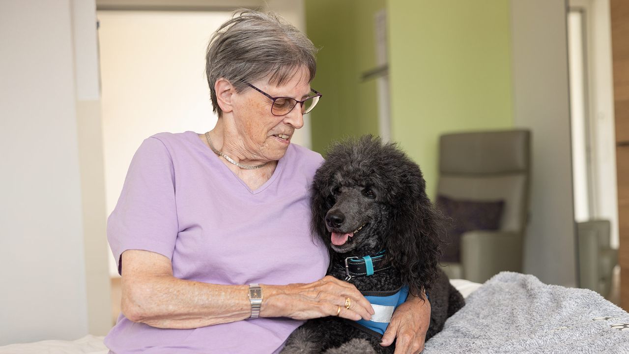 Eine Seniorin sitzt zusammen mit einem Therapiehund auf dem Pflegebett und streichelt ihn, was Geborgenheit und Entspannung fördert.