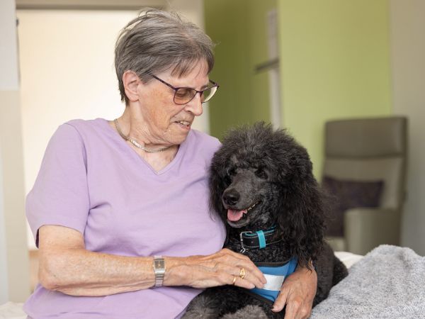 Eine Seniorin sitzt zusammen mit einem Therapiehund auf dem Pflegebett und streichelt ihn, was Geborgenheit und Entspannung fördert.